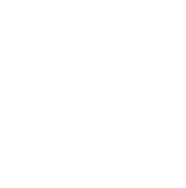 Das  Angebot     des    Monats